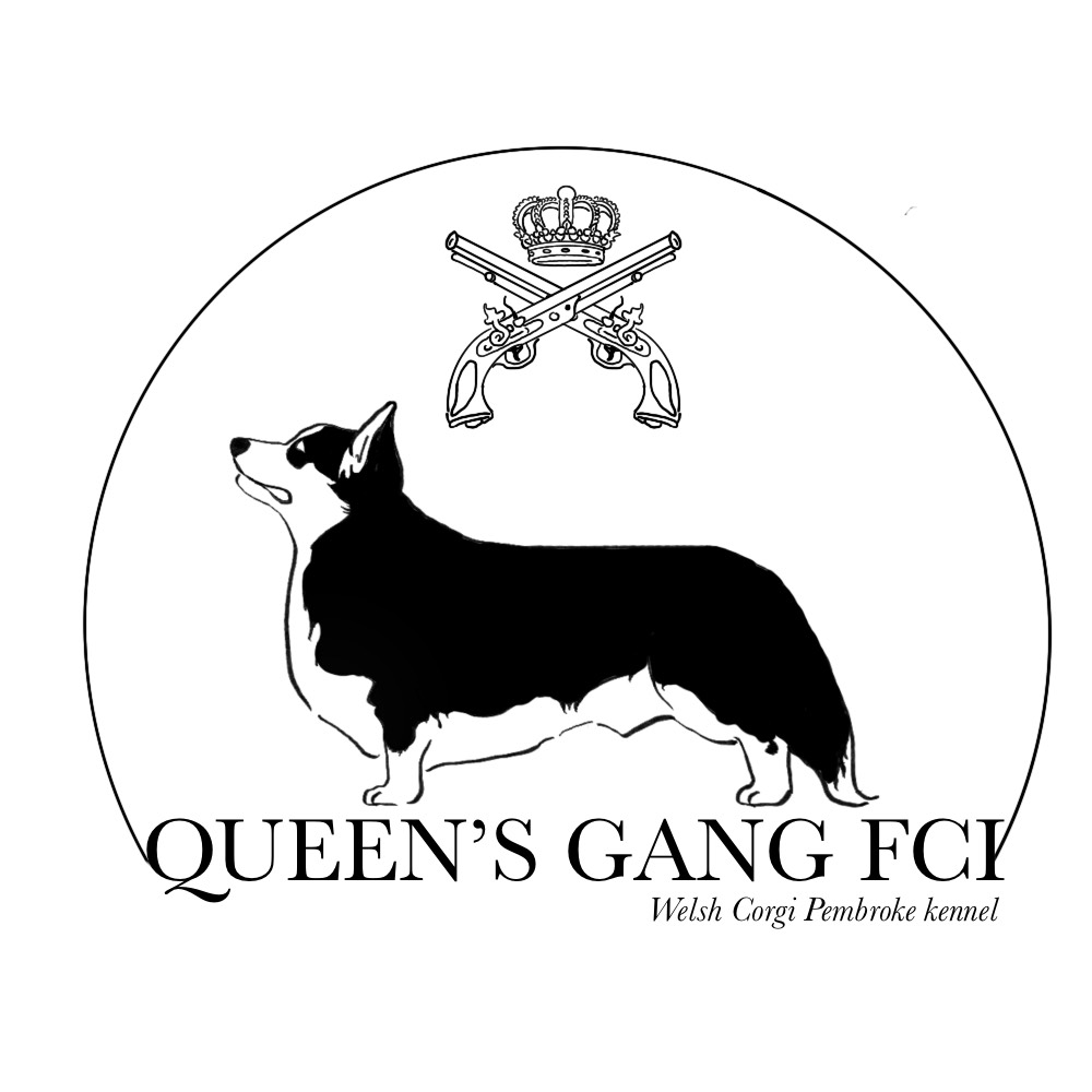 Queen's Gang logo